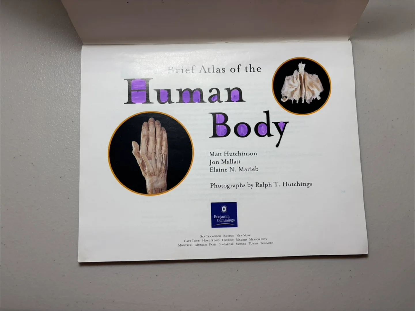 Brief Atlas of the Human Body image indicator(2)
