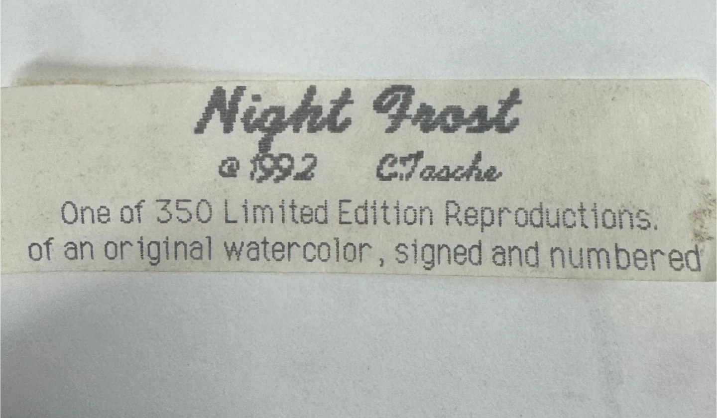 Cyndi Tasche "Night Frost" Limited Edition Print - photo 5