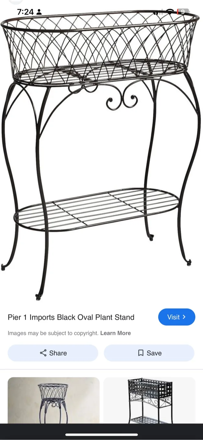 Pier 1 Imports Black Oval Plant Stand image indicator(5)