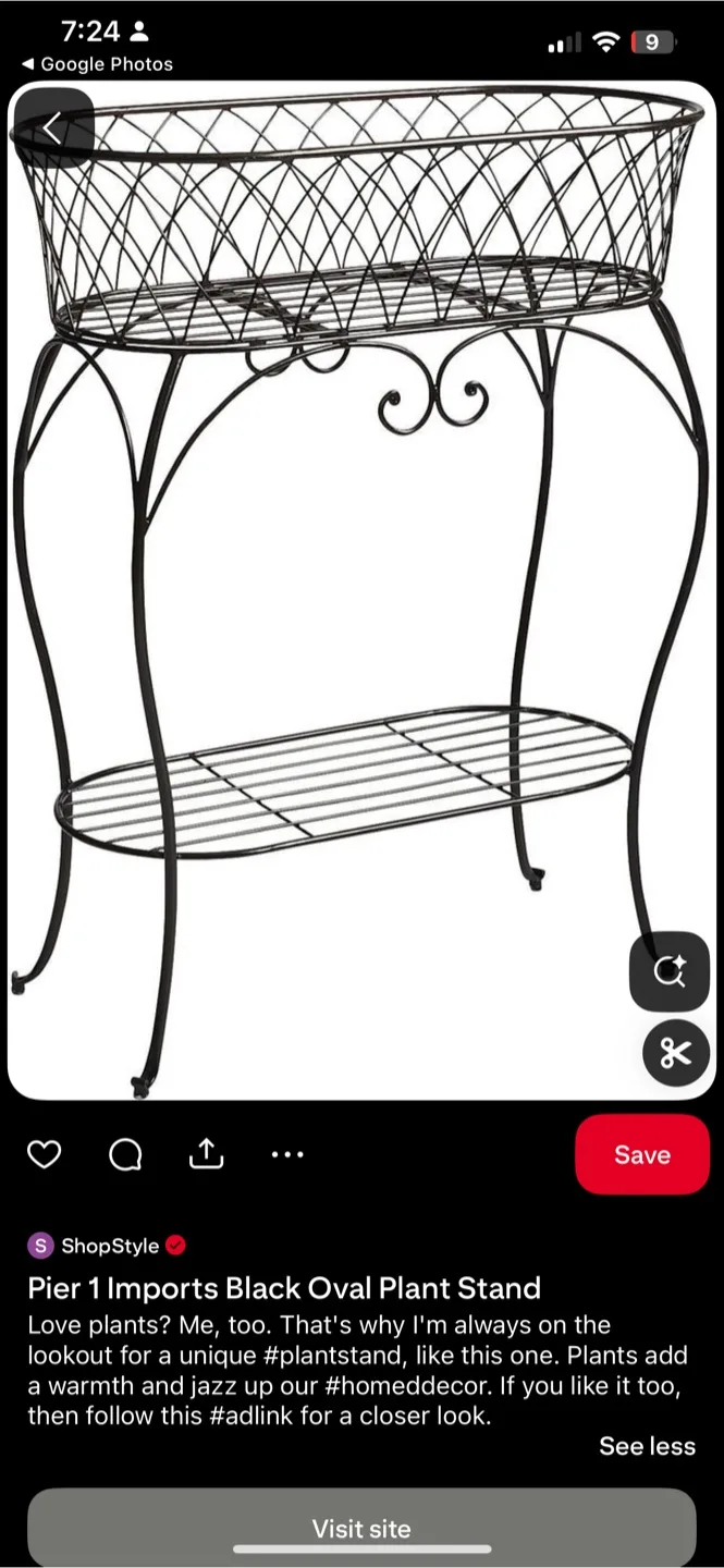 Pier 1 Imports Black Oval Plant Stand image indicator(4)