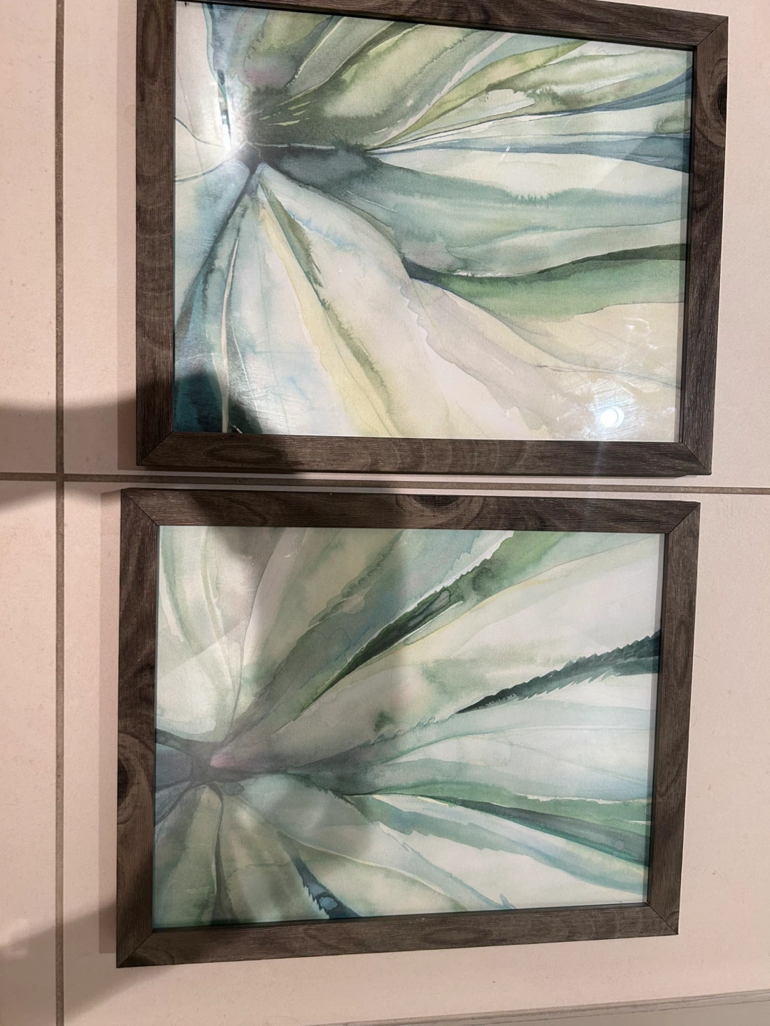 Framed Botanical Prints - Set of 2