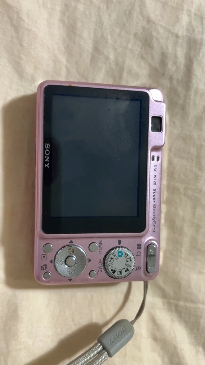 Sony Cybershot digital camera DSC-W120 image indicator(3)