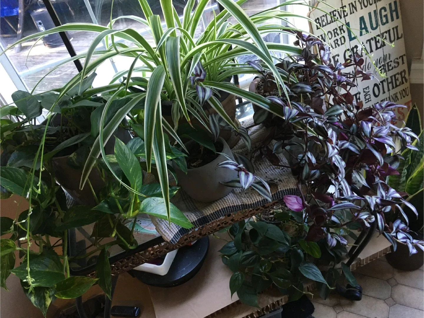 Clippings of plants image indicator(6)