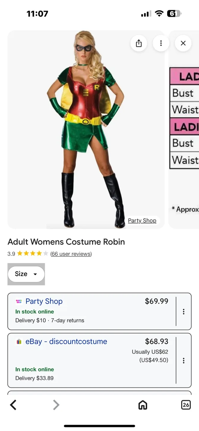 Adult Women's Robin Costume - Party Shop image indicator(2)