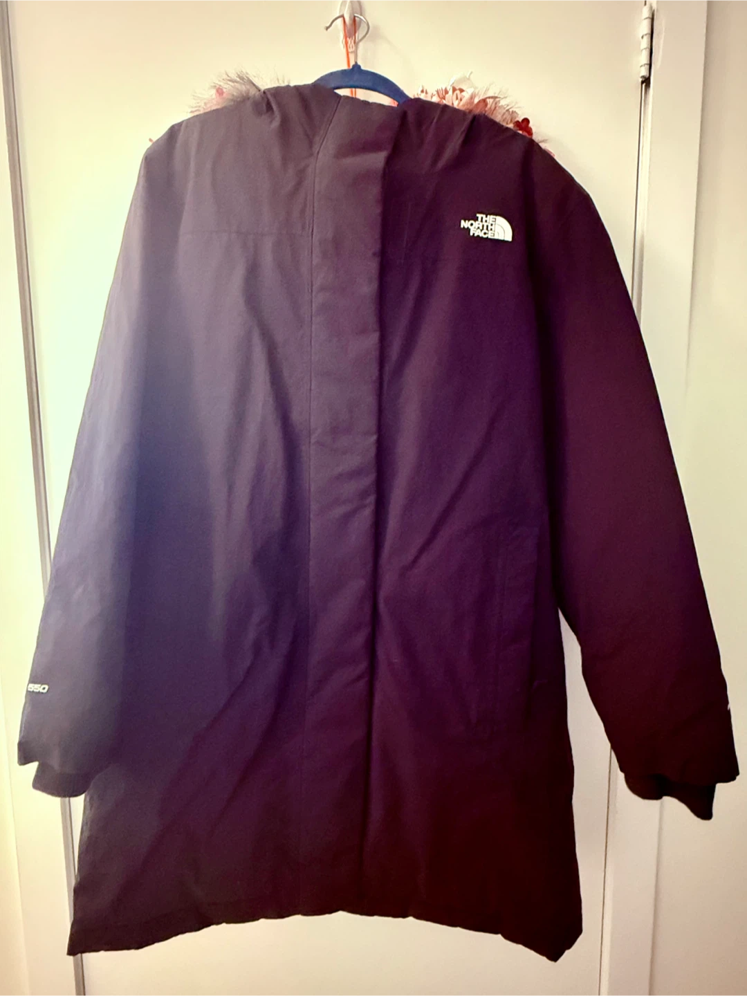 New! The North Face Parka - (retail $459.99+tax)