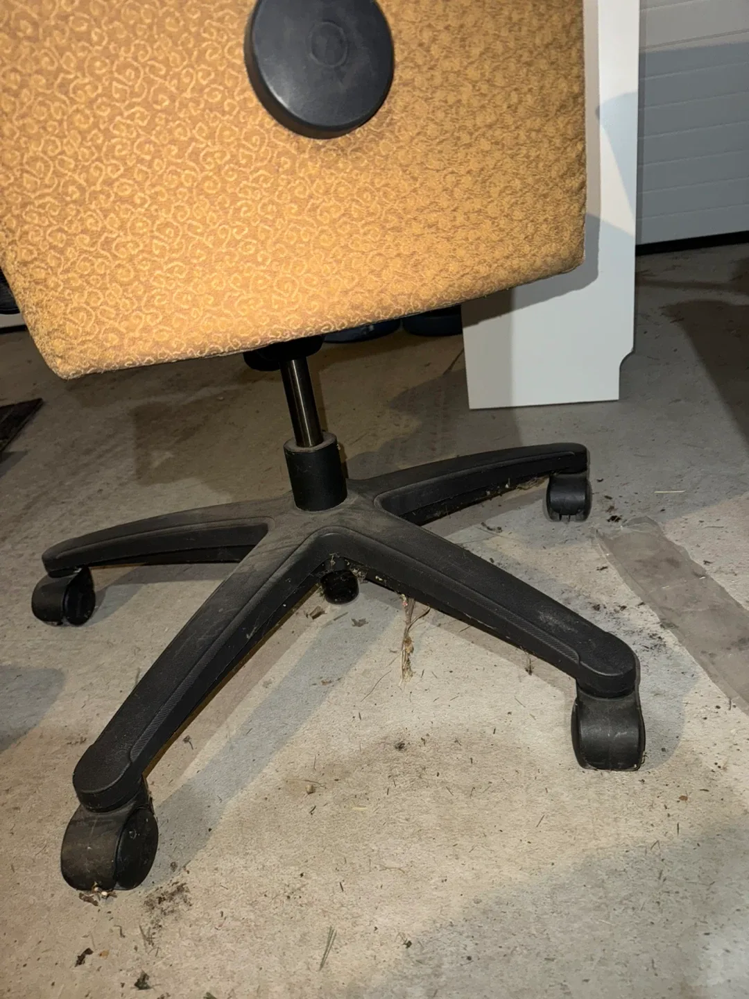 Office Chair - Burgundy Seat, Patterned Back image indicator(4)