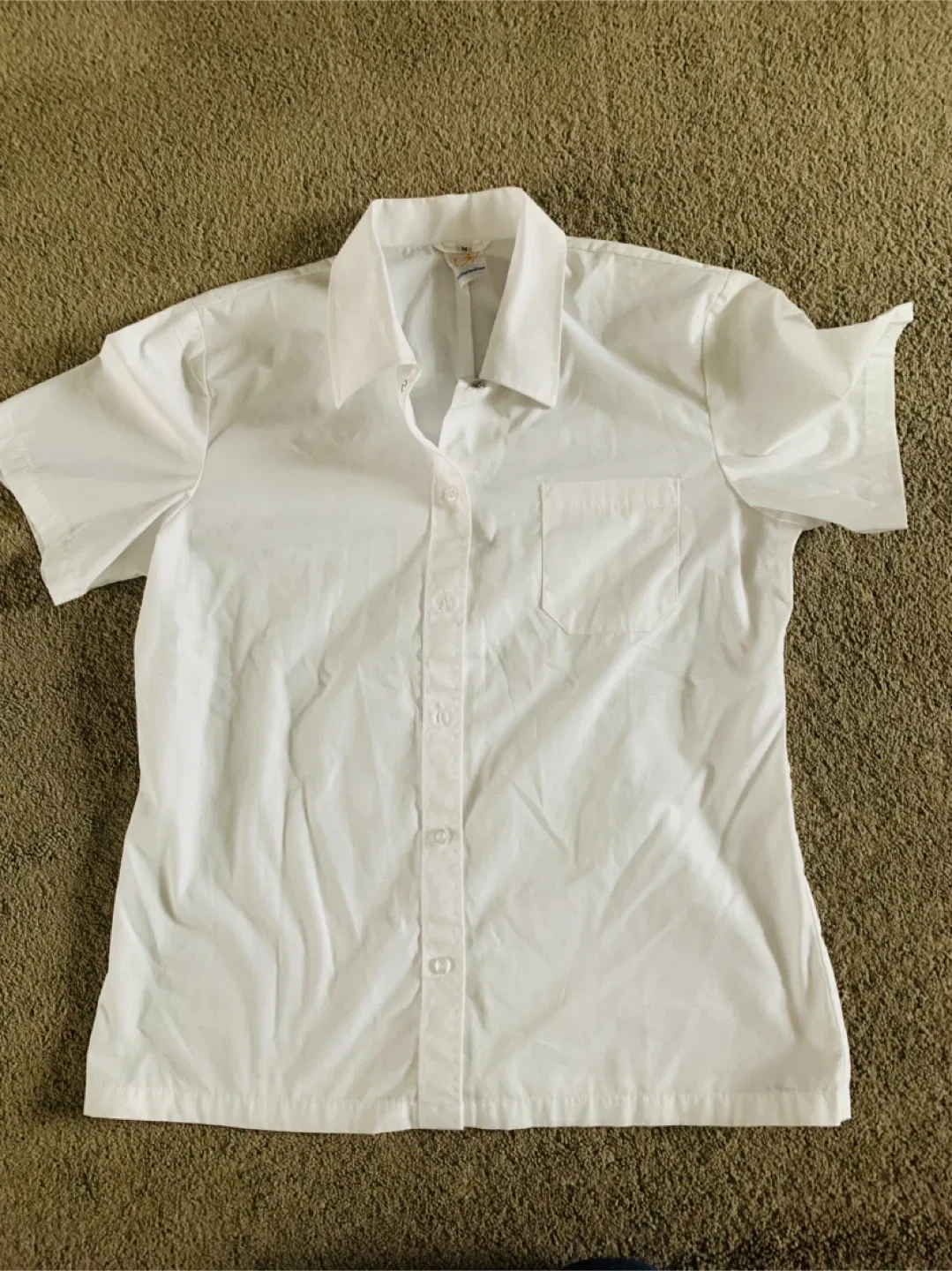 5 Women Tops, Blouse, Shirt, Polo for $6 image indicator(7)