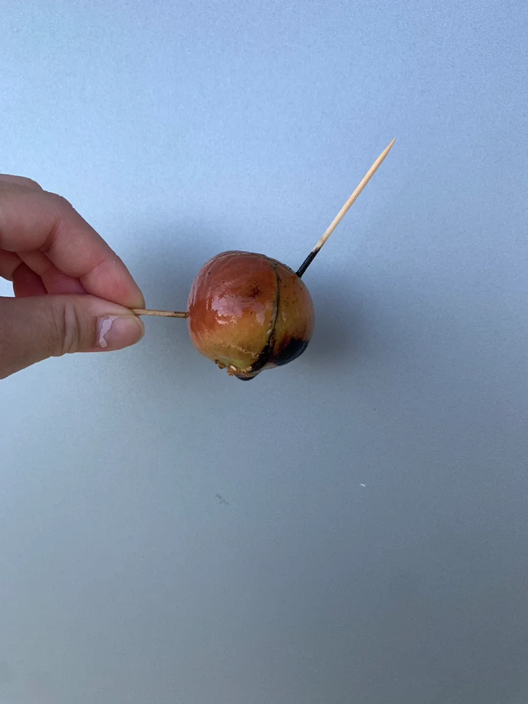 ✨FREE✨ #freecycle avocado cracked seed in water image indicator(3)