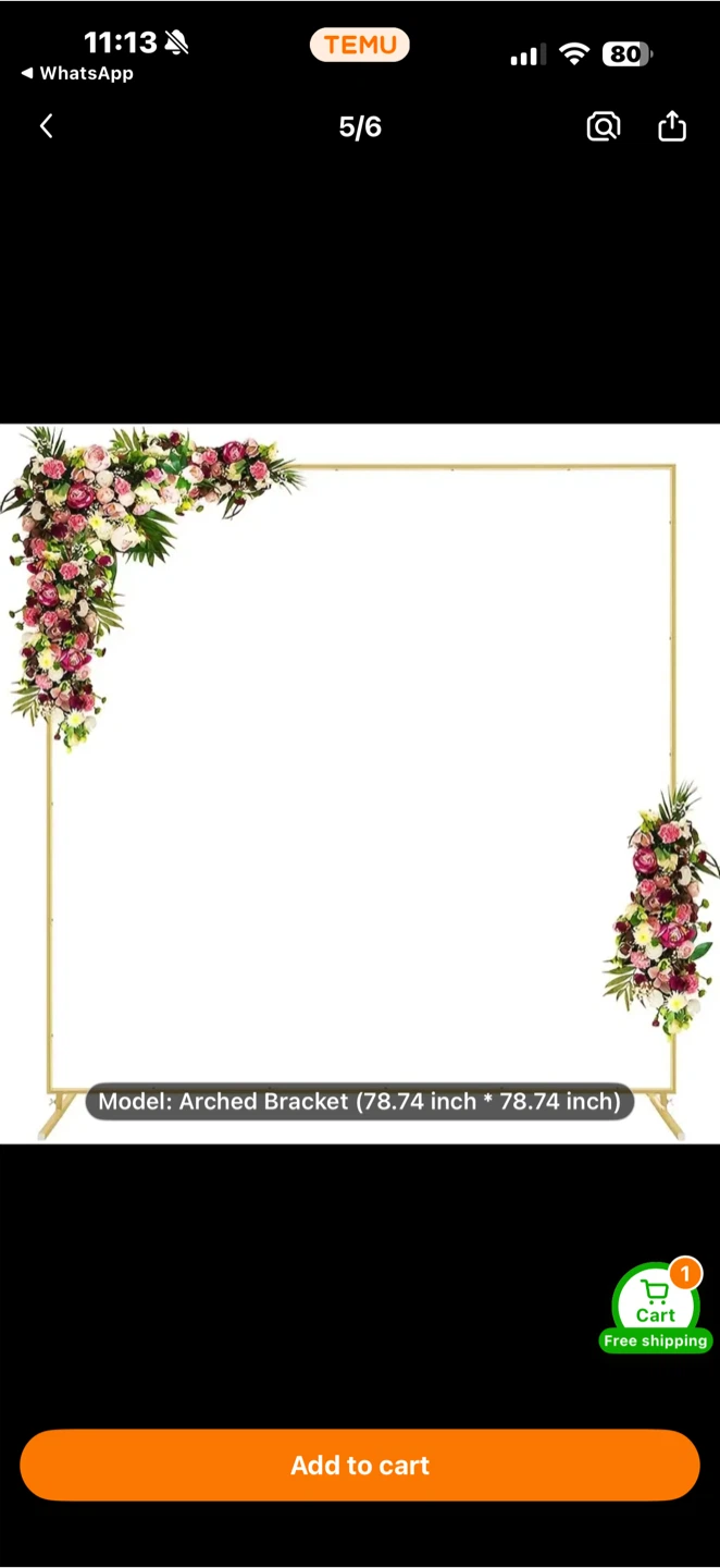 Arched Bracket 78.74 inch Wedding Arch Backdrop Stand