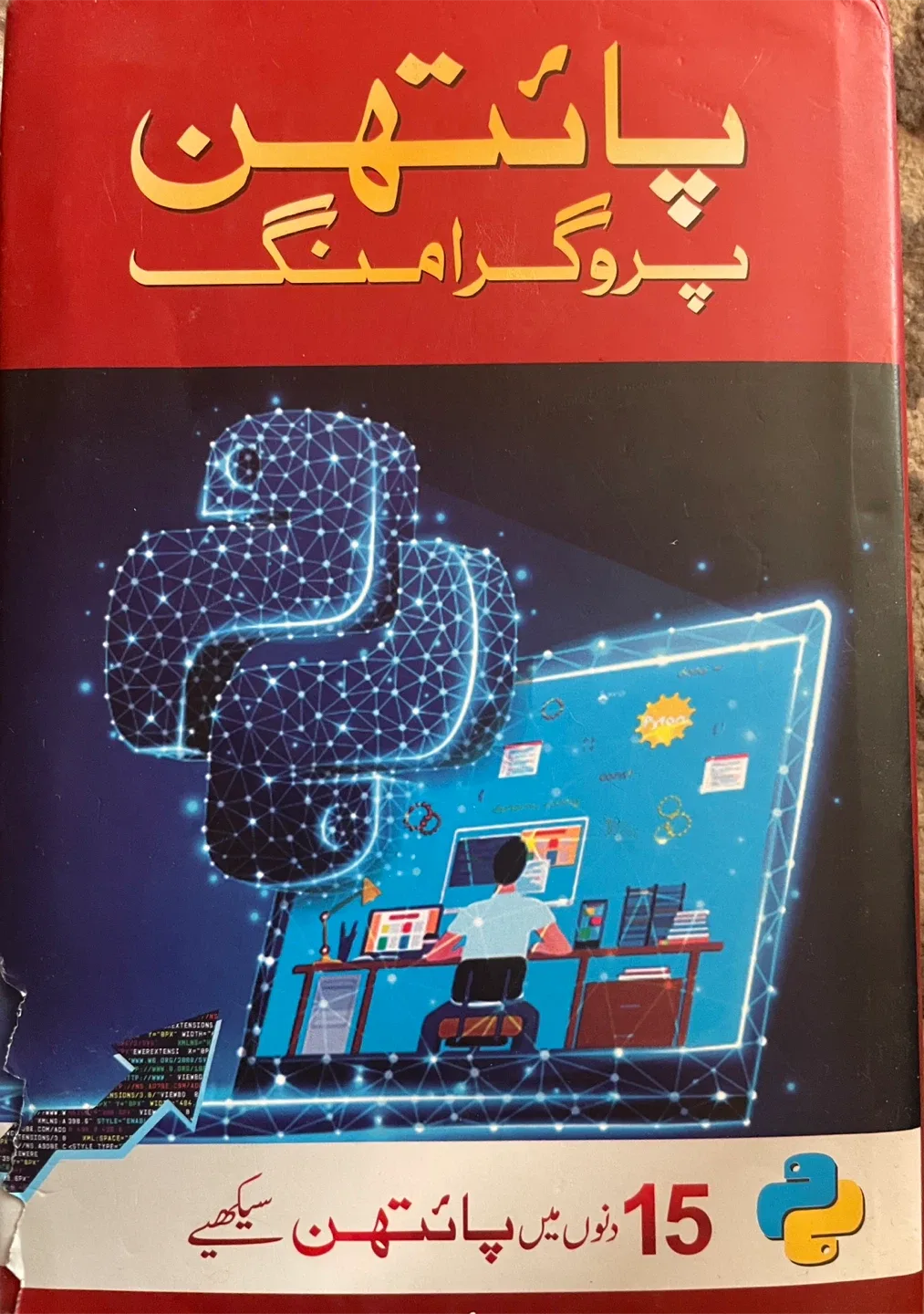 Python Programming Book thumbnail