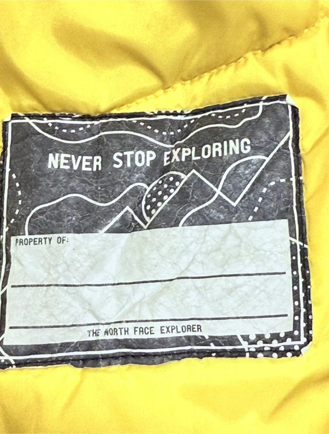 The North Face Boy's Gray/Black Hooded Jacket image indicator(8)