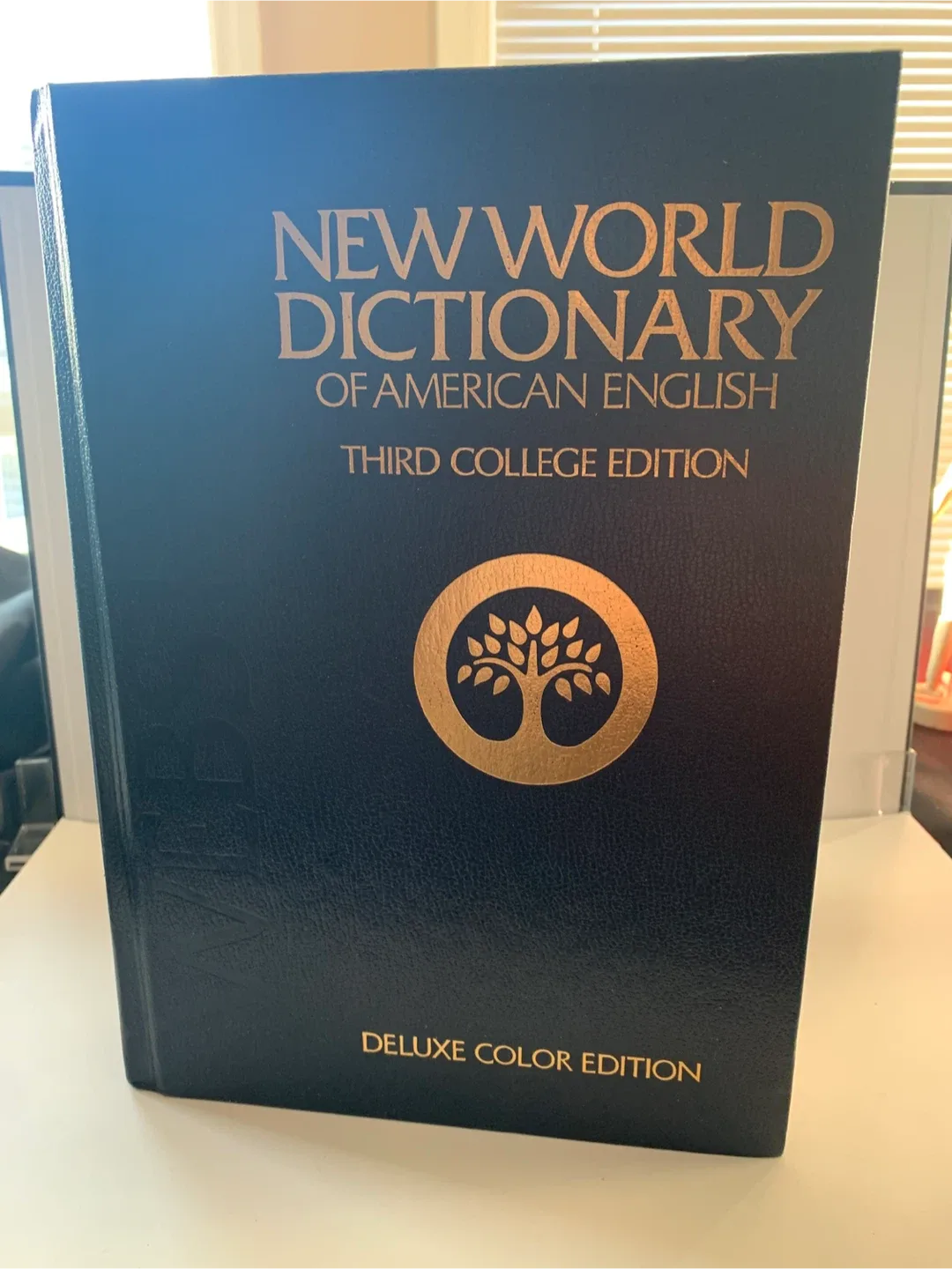 Webster's New World Dictionary