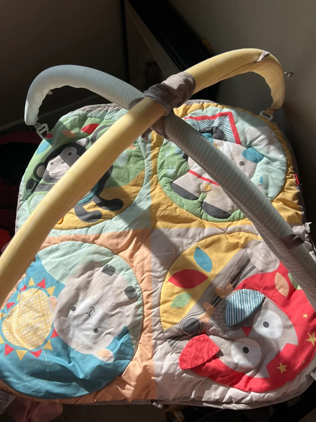 Skip Hop Activity Gym