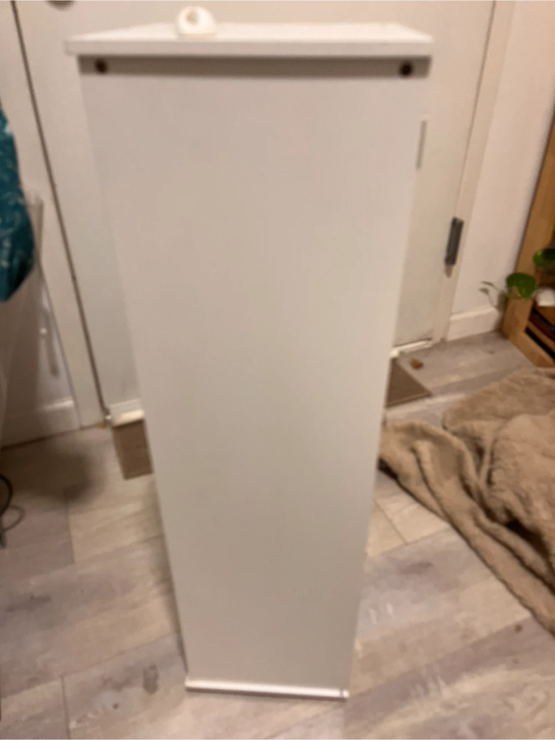 🥕White Shelf - photo 3