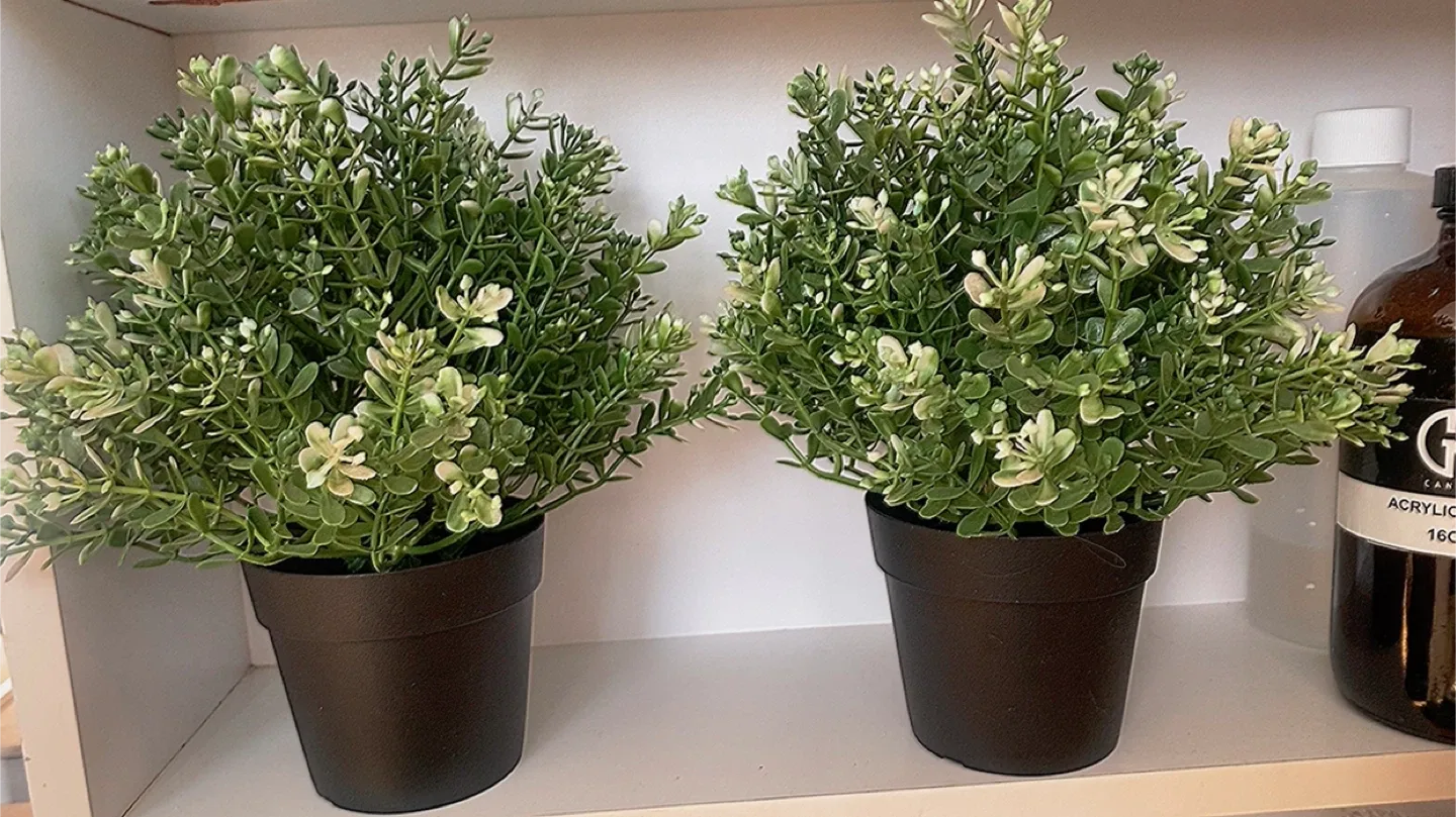 Artificial Potted Plant image indicator(2)