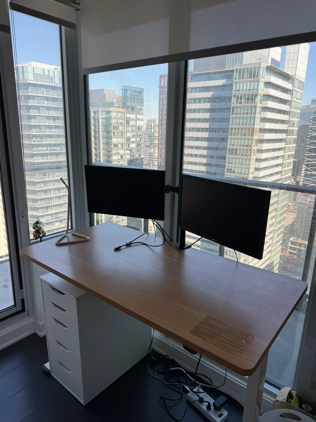 Home Office Setup With Standing Desk - photo 2