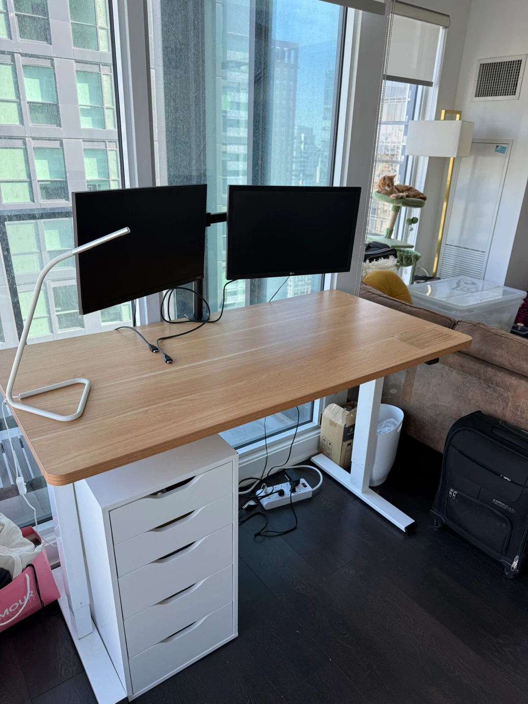 Home Office Setup With Standing Desk