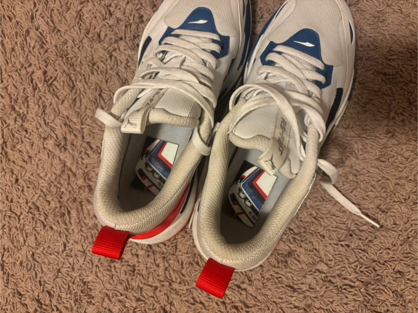Puma BMW Motorsport Shoes