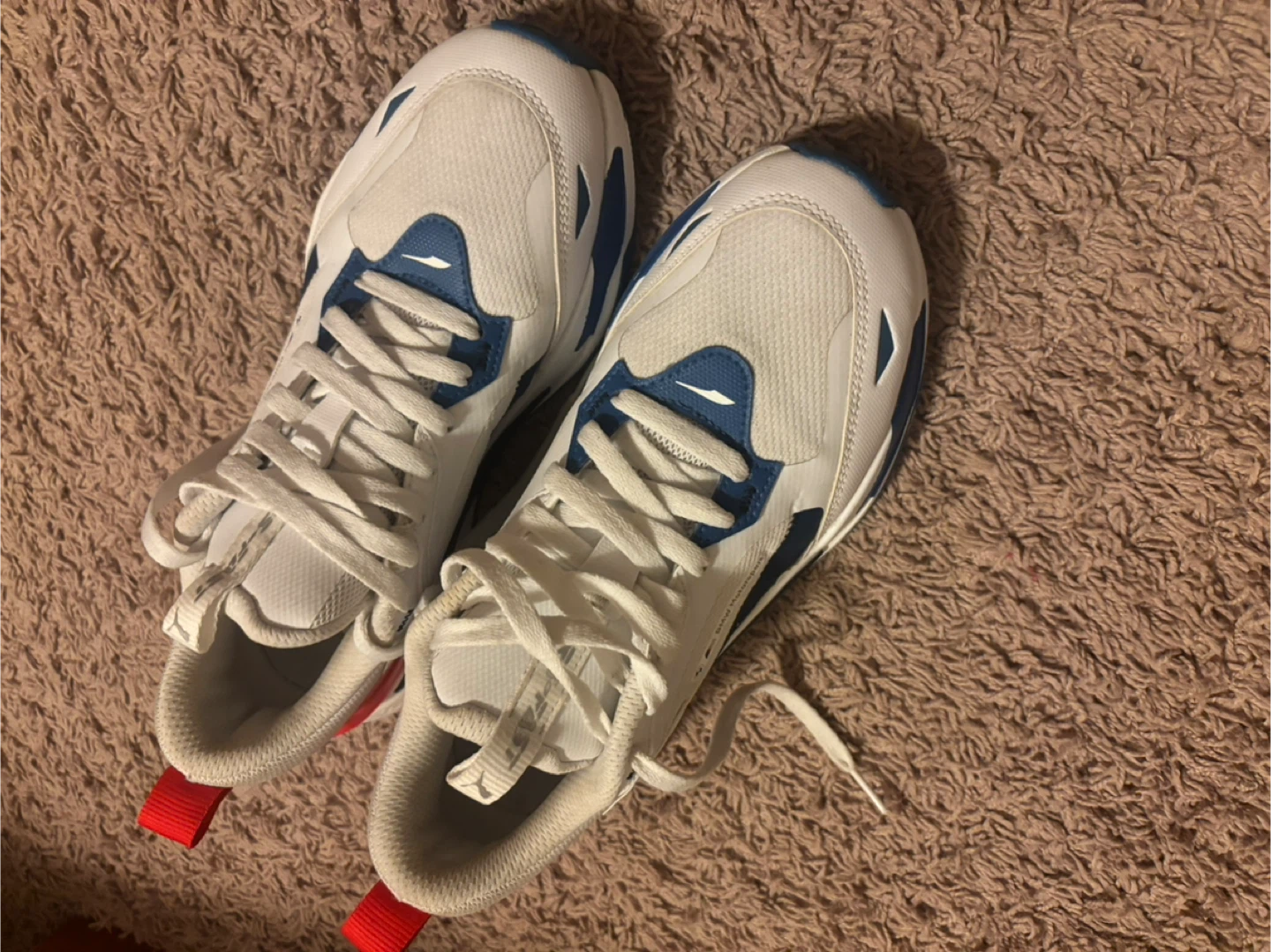 Puma BMW Motorsport Shoes - photo 3