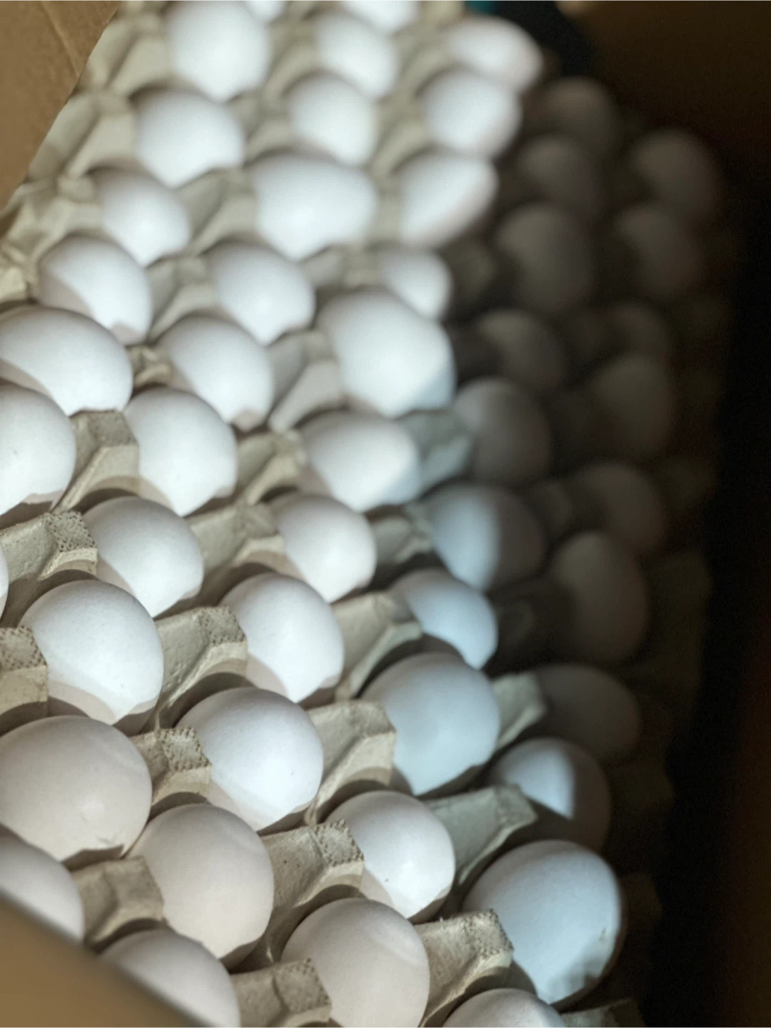 Fresh Farm Eggs - photo 4