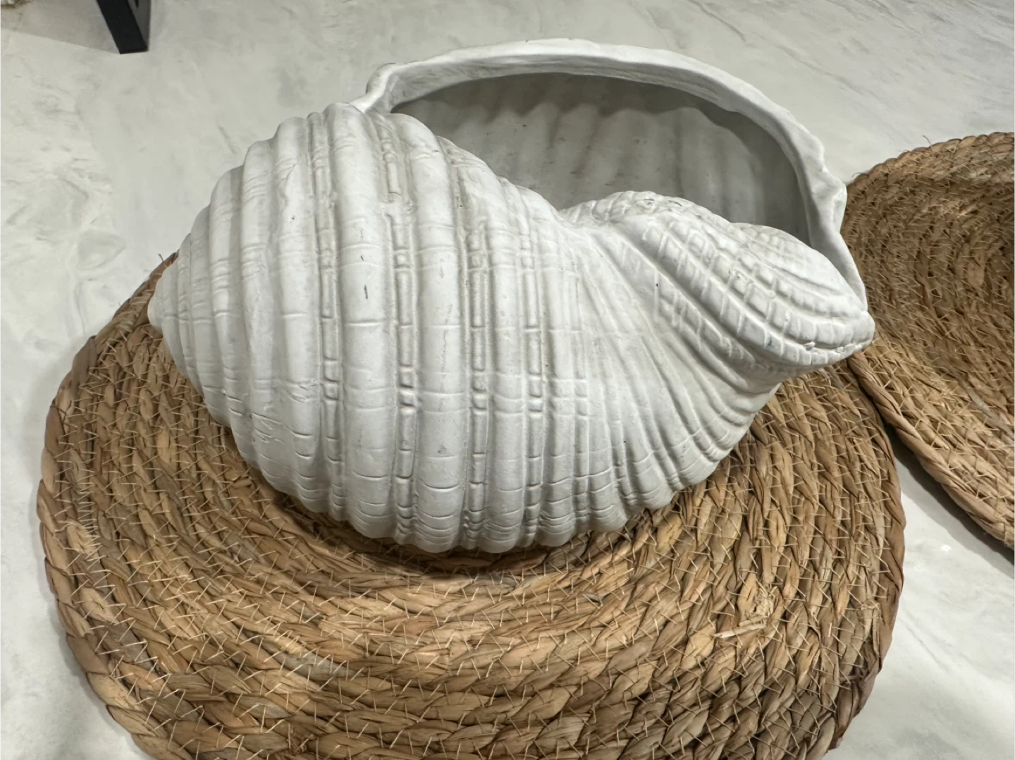 Threshold Medium Shell Ceramic Planter - White