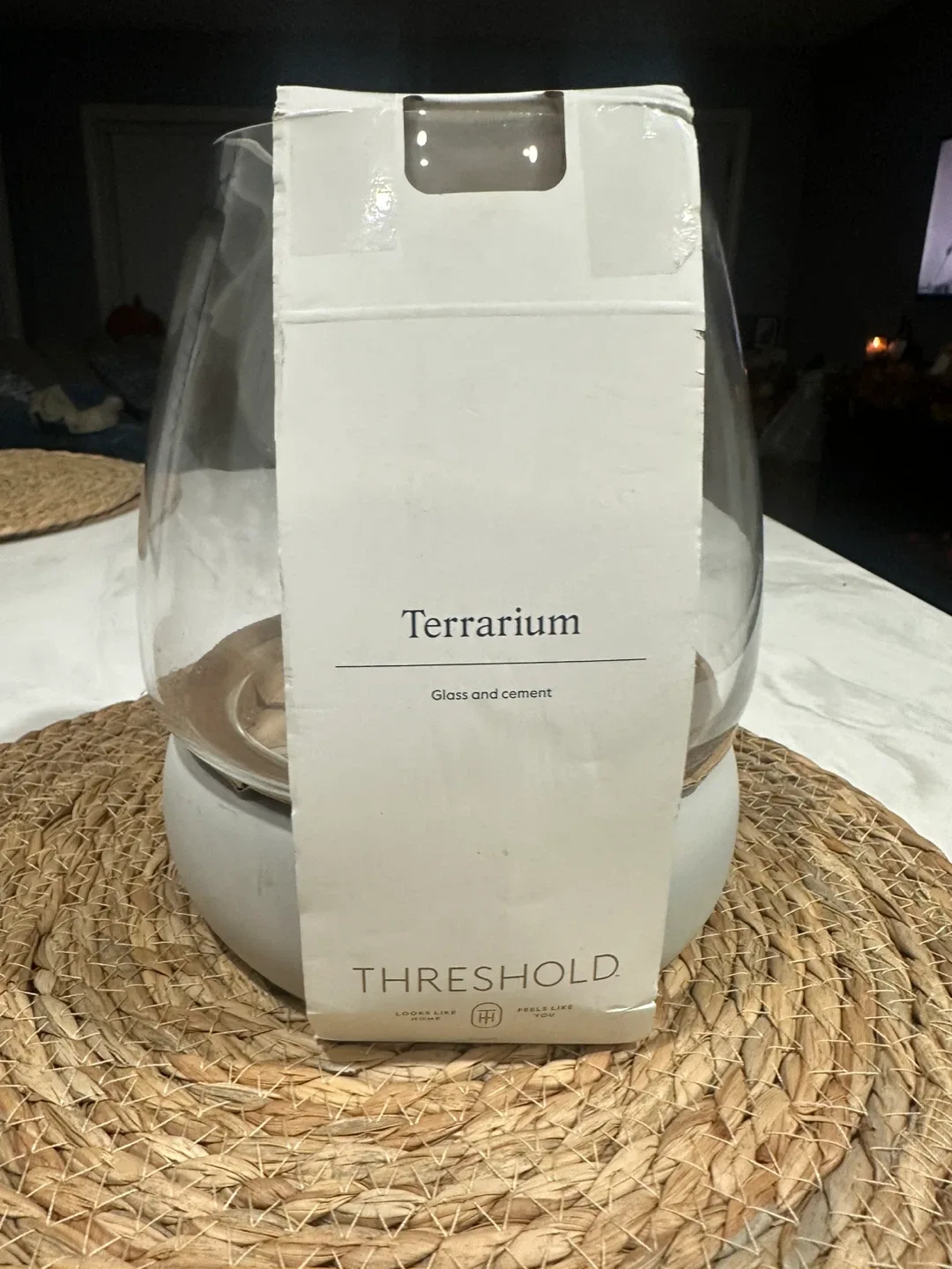 Threshold Large Round Glass Terrarium thumbnail