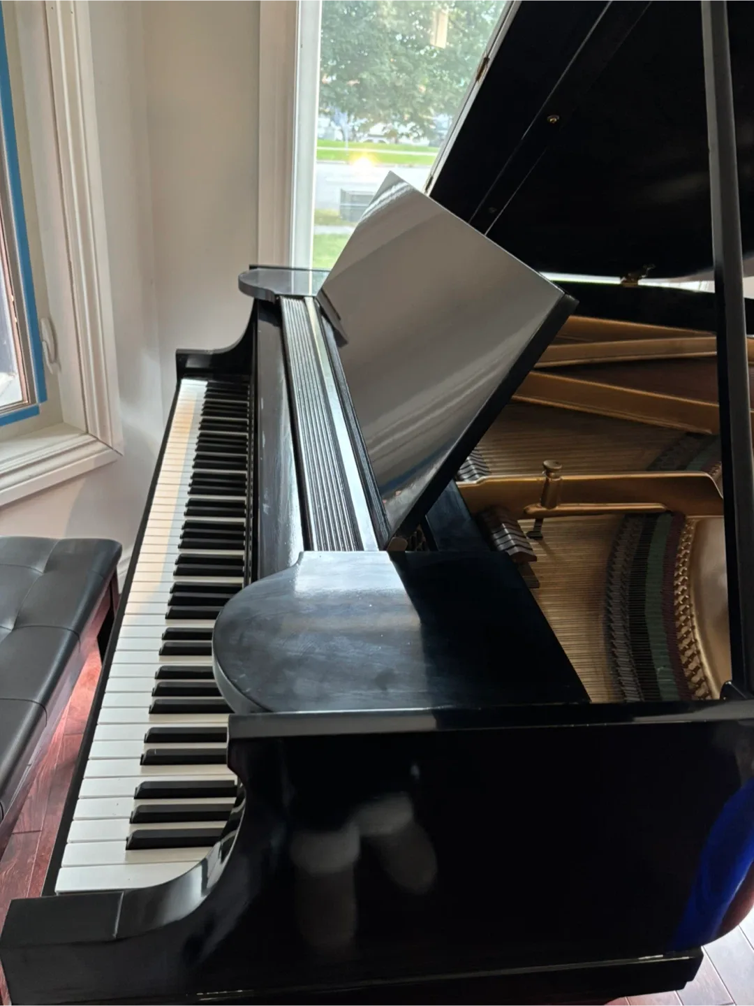 Grand Piano - Black image indicator(3)