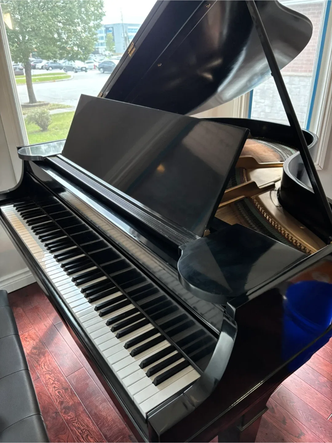 Grand Piano - Black image indicator(2)