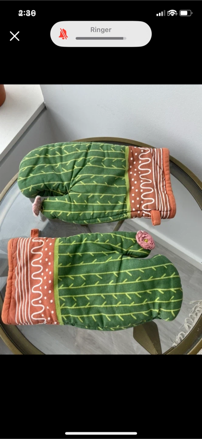 🥕Free Cactus Oven Mitts - Set of 2