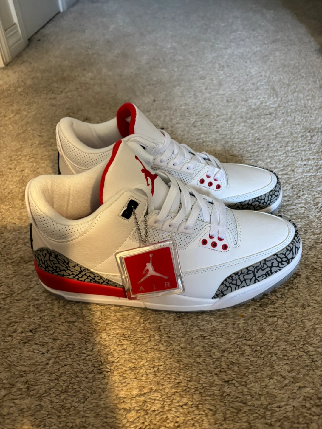 Jordan 3 Retro Hall Of Fame - photo 4