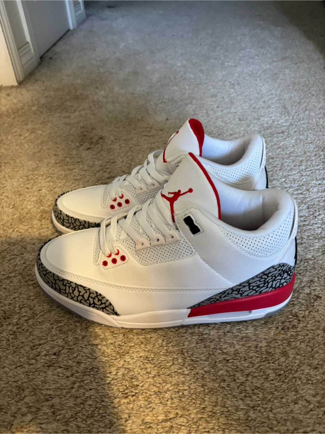 Jordan 3 Retro Hall Of Fame - photo 2