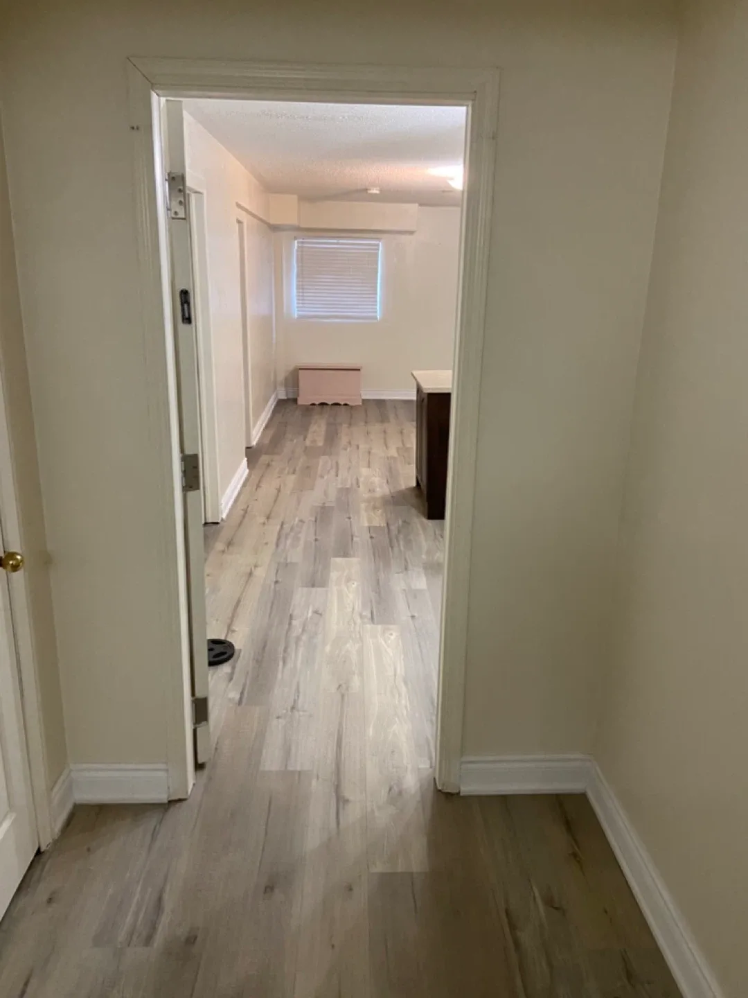 2 Bedroom Legal Basement Apartment image indicator(3)