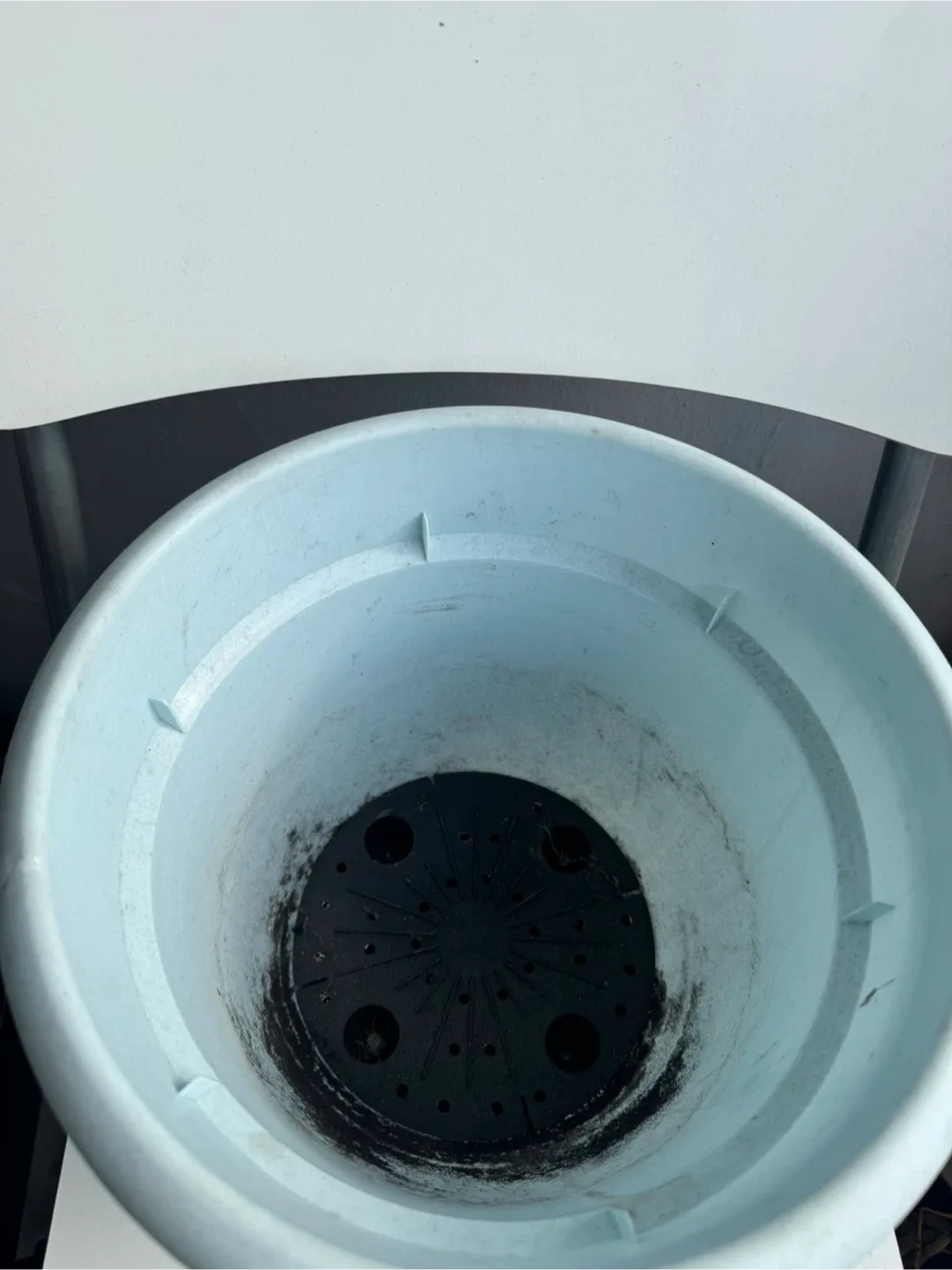 Used Flower Pots - Variety of Sizes & Colors 🥕 image indicator(3)