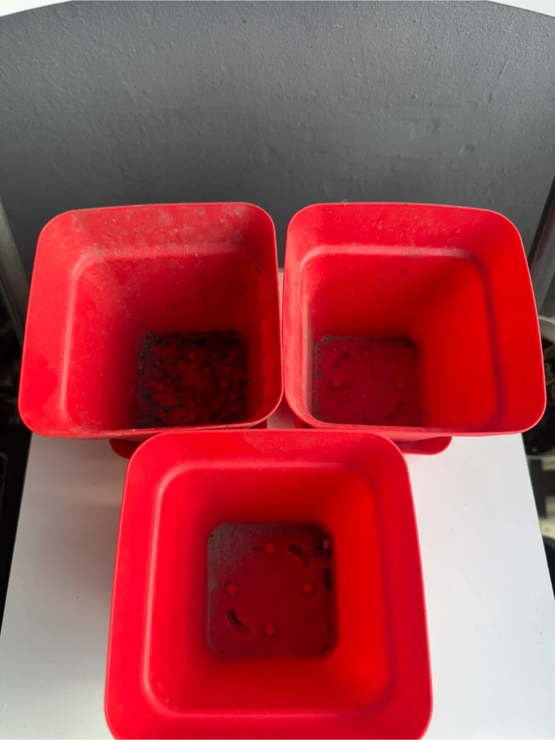 Used Flower Pots - Variety of Sizes & Colors 🥕 image indicator(2)