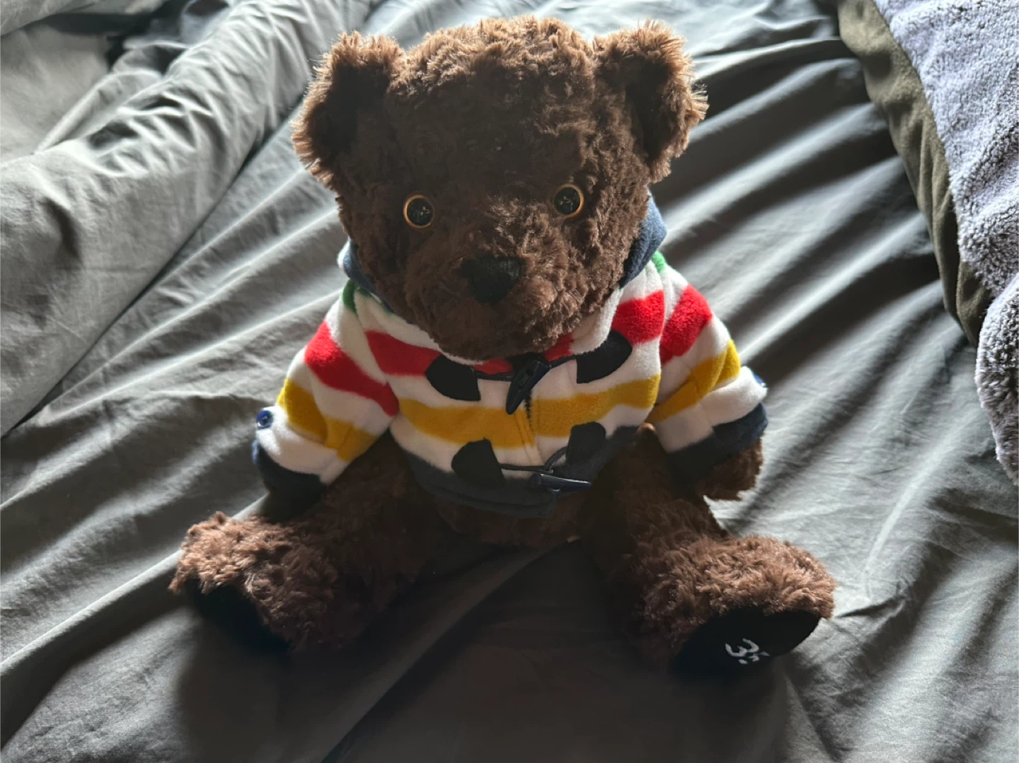 Hudson Bay Company 350th anniversary Bear (Canada) - photo 3