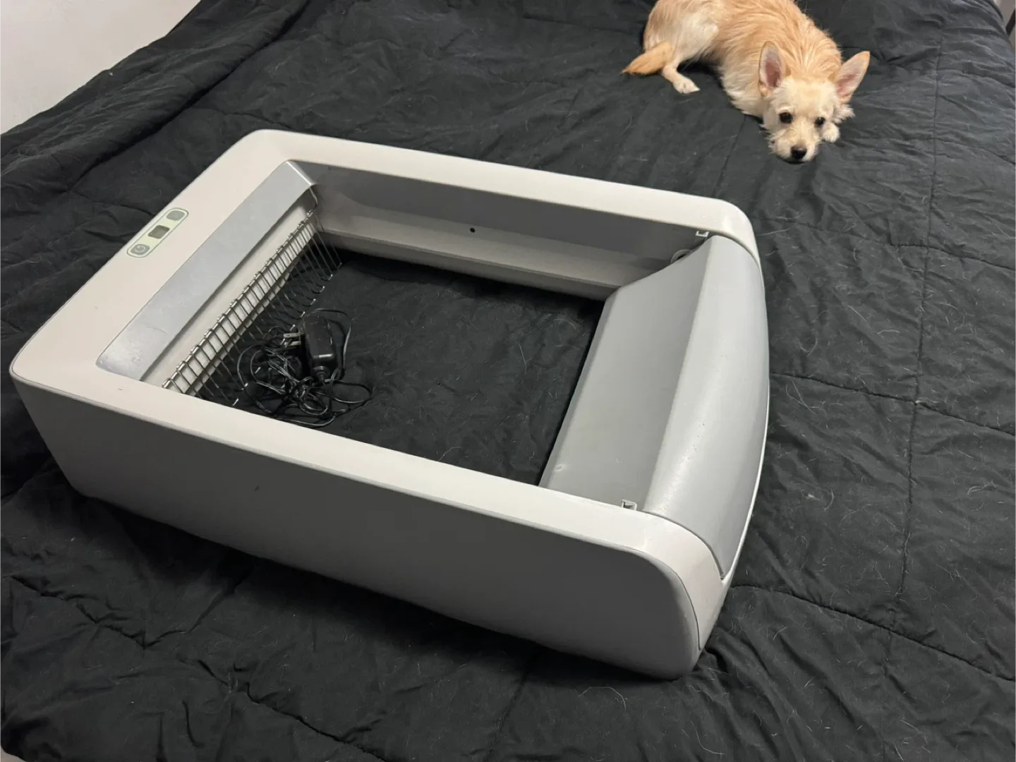 🐾 PetSafe Automatic Litter Box – $70 thumbnail