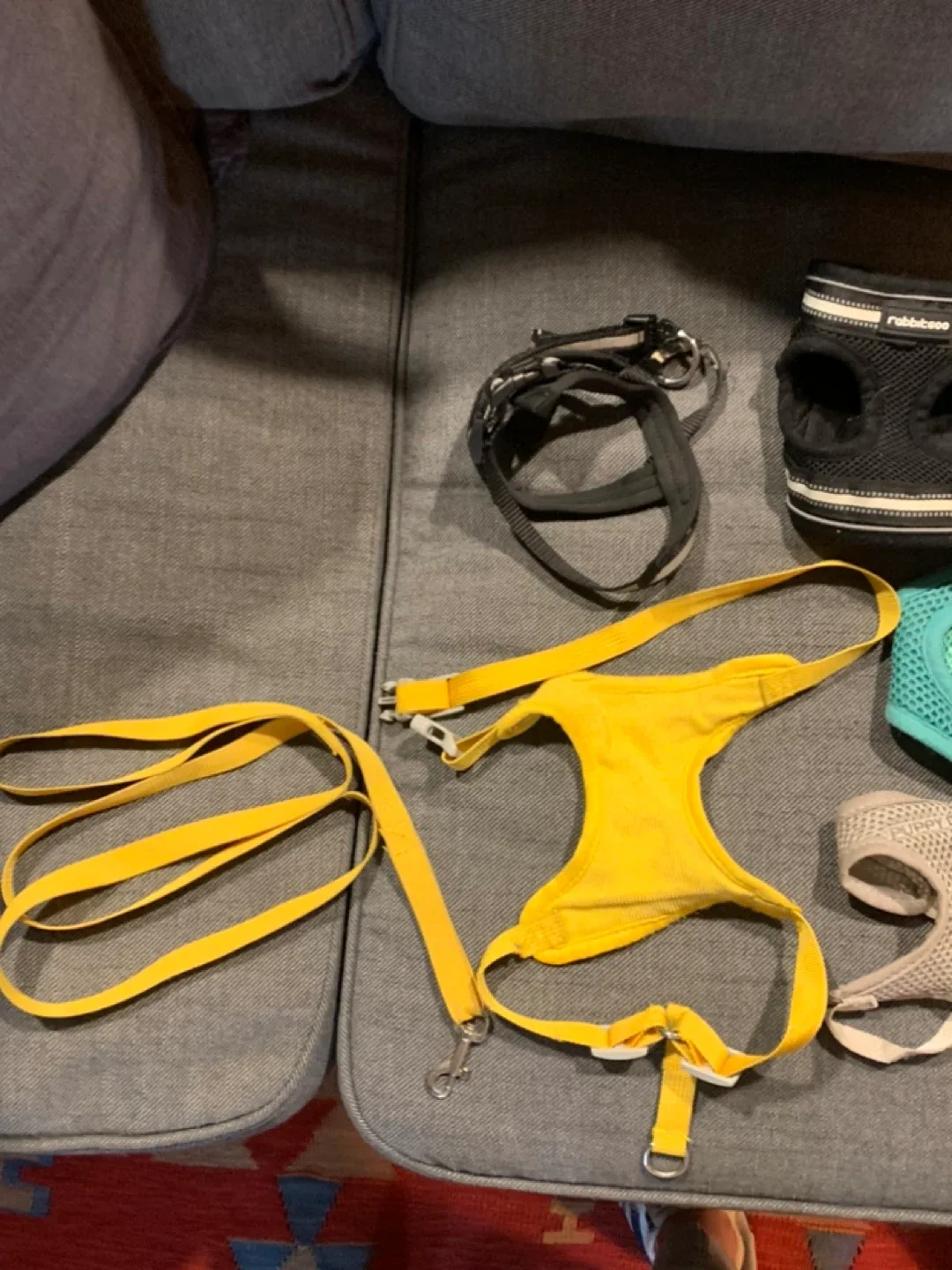 Dog Harnesses: Downtown Pet Supply, Rabbitgoo image indicator(5)