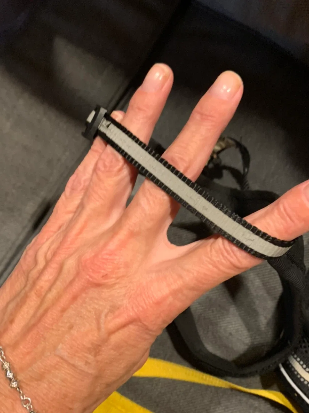 Dog Harnesses: Downtown Pet Supply, Rabbitgoo image indicator(8)