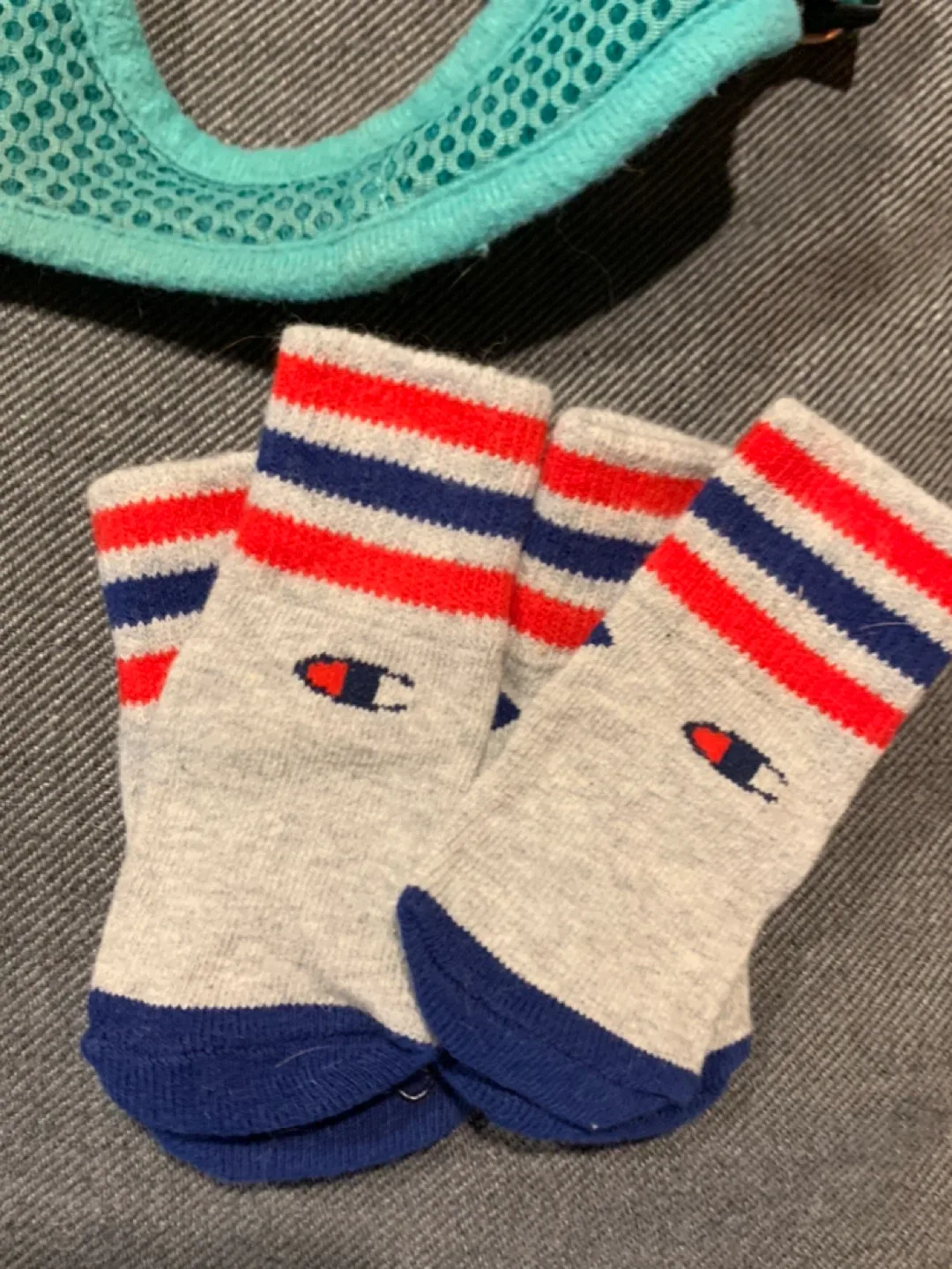 Dog Harnesses: Downtown Pet Supply, Rabbitgoo image indicator(9)