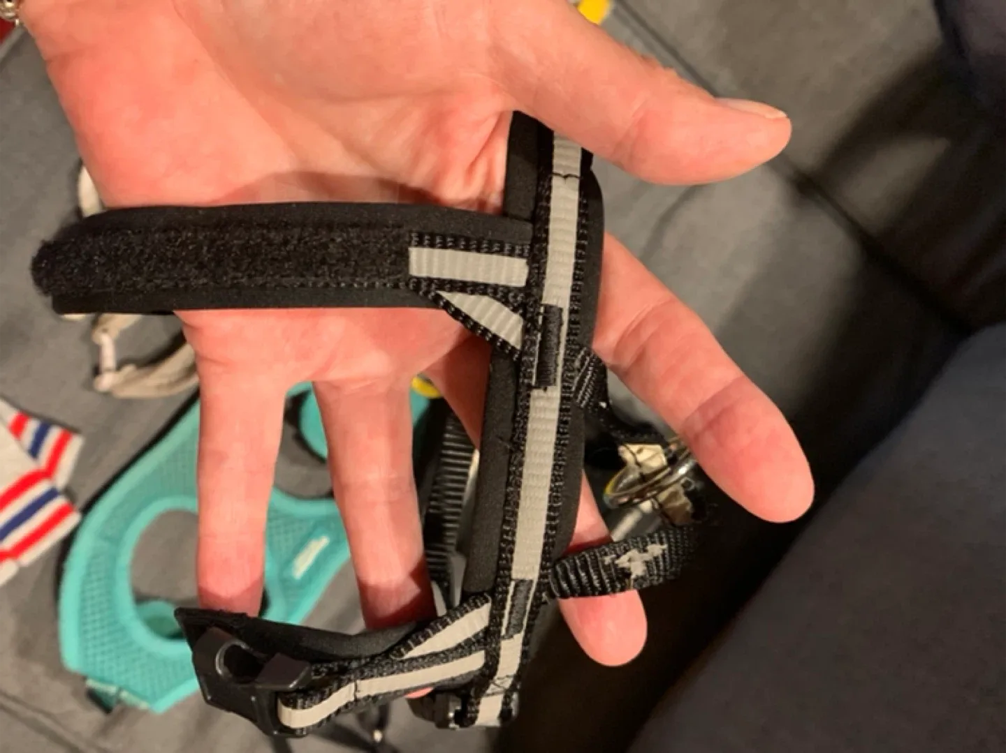 Dog Harnesses: Downtown Pet Supply, Rabbitgoo image indicator(7)