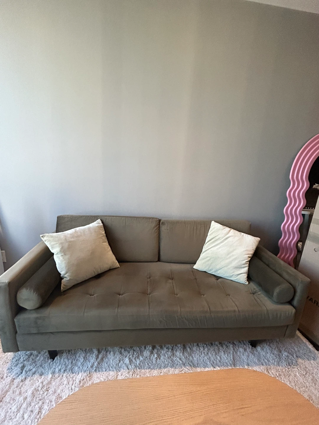 Olive Green Sofa -$200