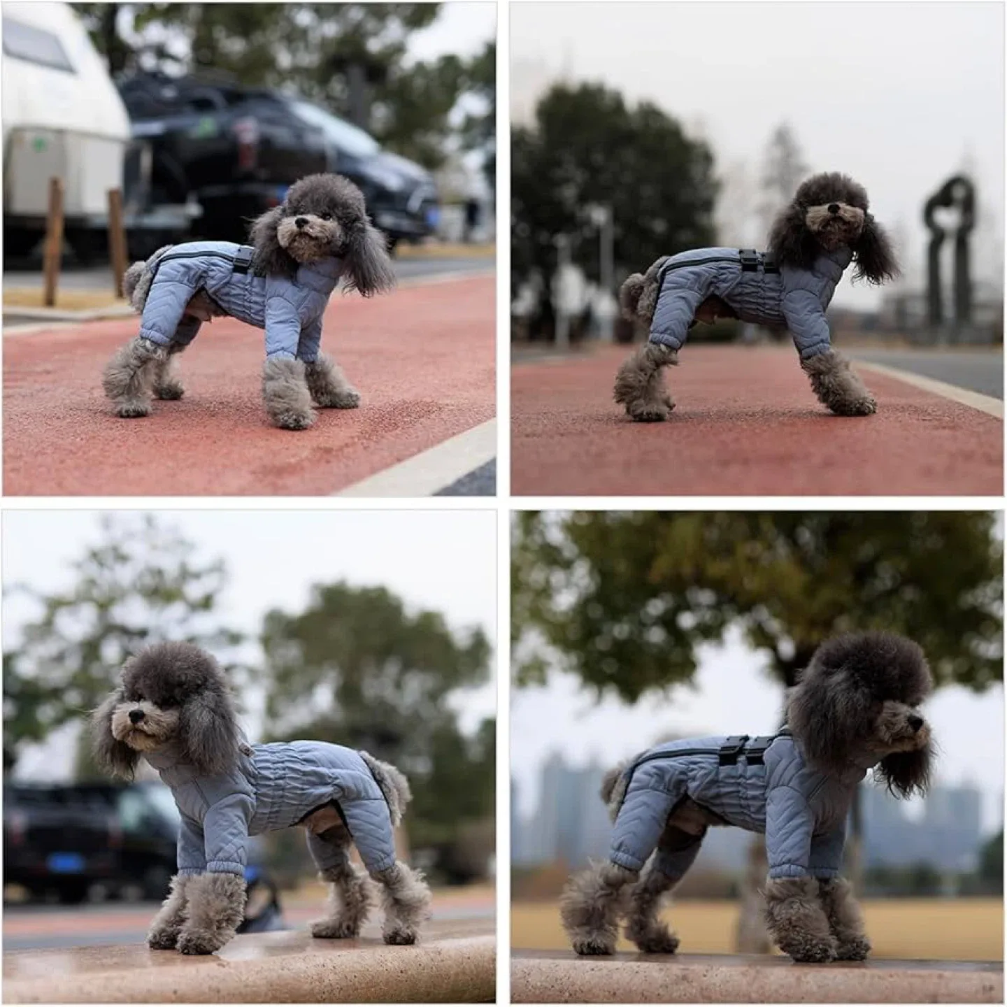 Dog Snowsuit - Size M - Gray image indicator(2)