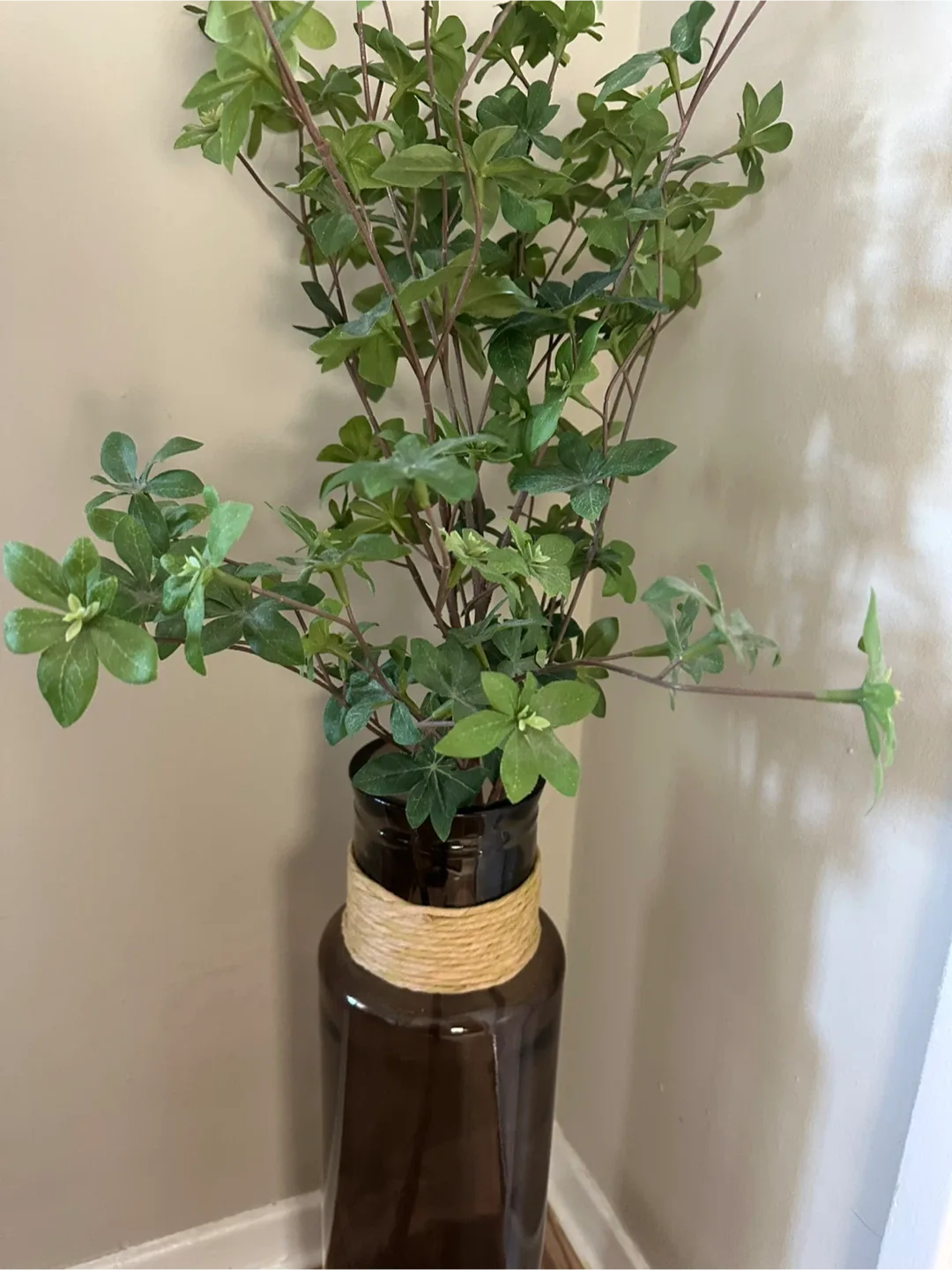 Brown Glass Vase with Twine Detail image indicator(2)