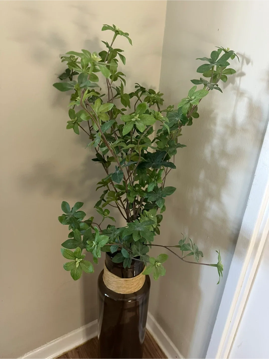 Brown Glass Vase with Twine Detail image indicator(4)