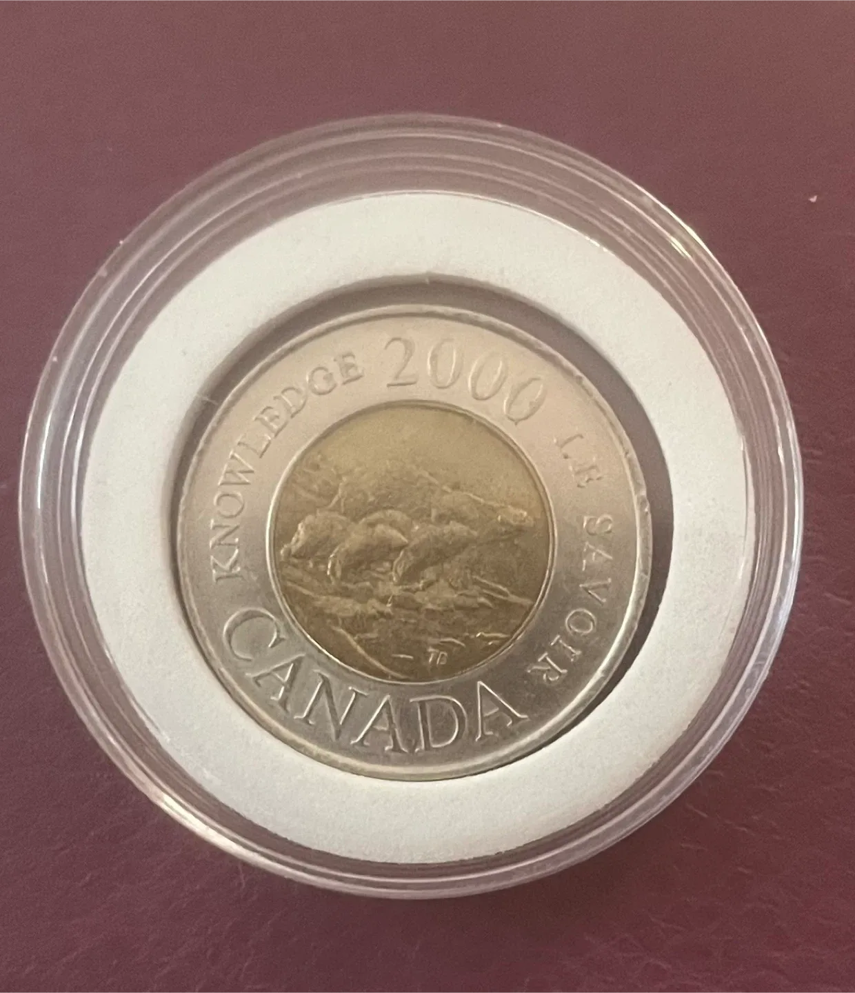 Canadian commemorative toonies and loonies details below image indicator(7)