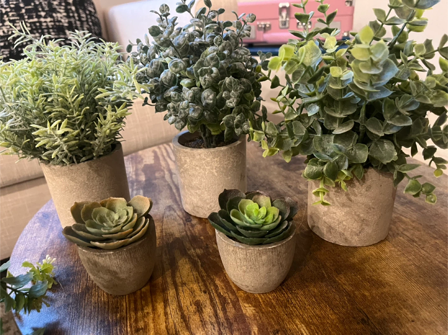 Artificial Succulents & Greenery