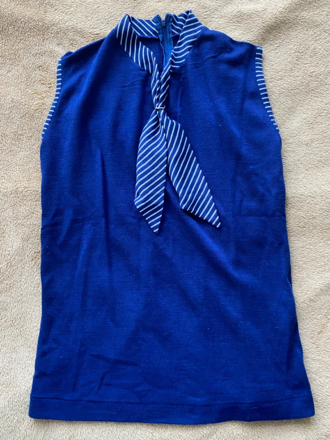 Blue Sleeveless Top thumbnail