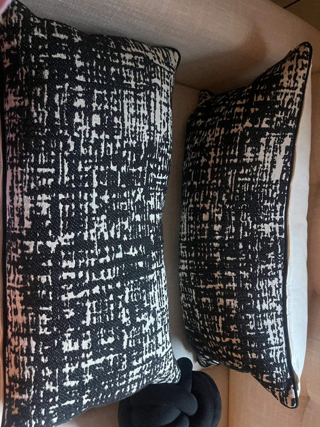 Set of 2 Black & White Throw Pillows
