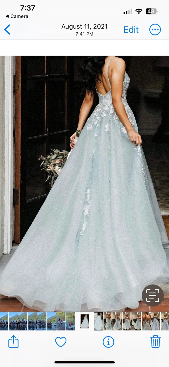 Prom Dress image indicator(2)