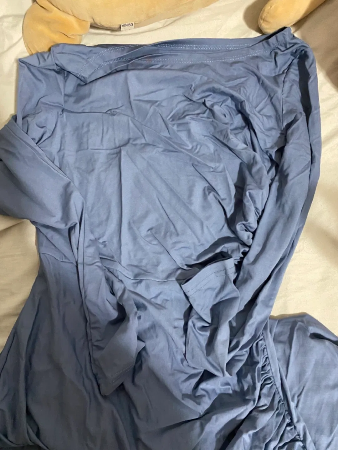 Blue Ruched Long Sleeve Dress image indicator(3)